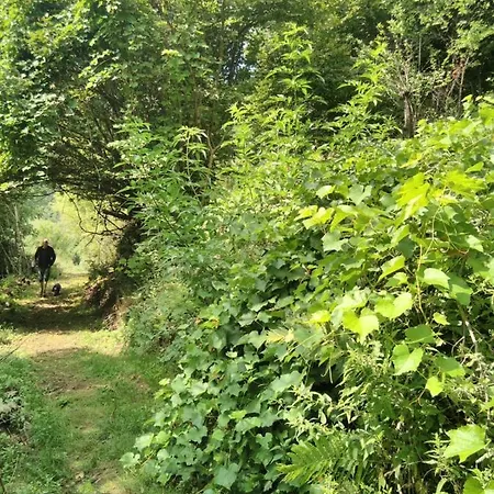 Grande Tente Tipi En Pleine Foret ラグジュアリーテント Burzet