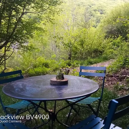 Lüks kamp alanı Tente Tipi En Plein Coeur D'Une Foret Burzet