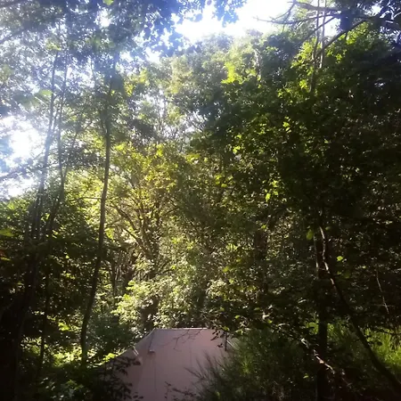 Tente Tipi En Plein Coeur D'une Foret Burzet