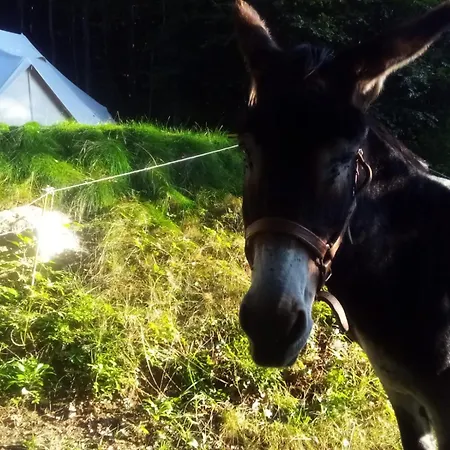 豪华帐篷 Tente Tipi En Plein Coeur D'une Foret