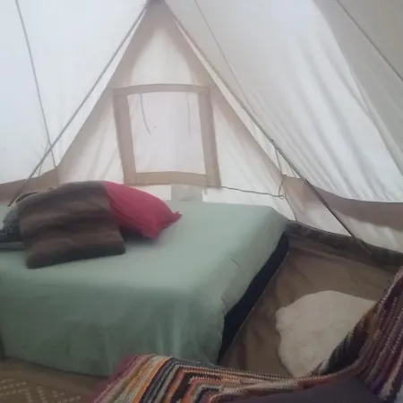 Tente Tipi En Plein Coeur D'une Foret